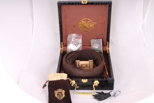 Hermès Leather Belt H belt buckle & Reversible leather strap - Image 4